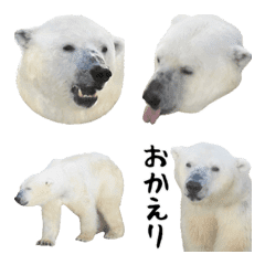 [LINE絵文字] ほほえみフレンズ！シロクマの絵文字の画像