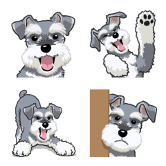 [LINE絵文字] ミニチュアシュナウザー（犬）の画像