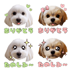 [LINE絵文字] マルックス歩音とチワマル琴音の絵文字の画像