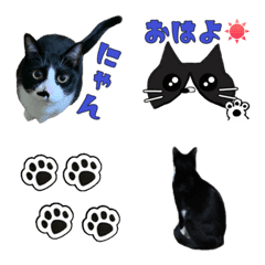 [LINE絵文字] ハチワレ猫ゆづちゃんの絵文字の画像