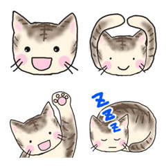 [LINE絵文字] はちわれトラ猫の画像