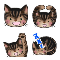 [LINE絵文字] キジトラ猫の画像