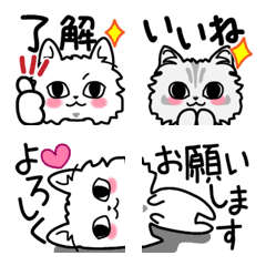 [LINE絵文字] チンチラ猫2(文字つき)の画像