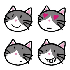 [LINE絵文字] 猫の海ちゃんの絵文字の画像