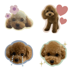 [LINE絵文字] Ajuki__coton Emojiの画像