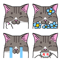 [LINE絵文字] 猫のグナちゃんの絵文字の画像