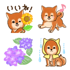 [LINE絵文字] 雨の日も楽しく！豆柴犬の絵文字の画像