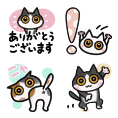 毎日だもの♡ハチワレ猫のハチの絵文字メイン画像
