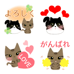 [LINE絵文字] キジトラandふわふわハチワレの画像