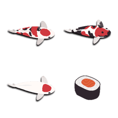 Koi - Nishikigoi [Fish x Food]