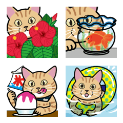 [LINE絵文字] 猫の栗ちゃん絵文字 常夏ココナツ猫の夏の画像