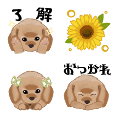 [LINE絵文字] いぬ*。絵文字の画像