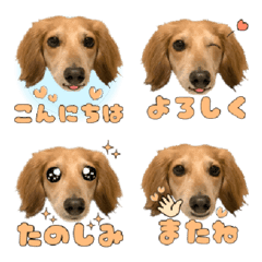 [LINE絵文字] ダックス♡ちくわの絵文字の画像