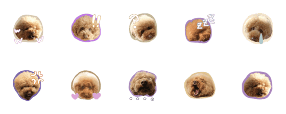[LINE絵文字]moko emoji_587の画像一覧