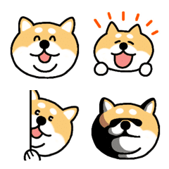 [LINE絵文字] 柴犬っちの絵文字 ぽちょっと毎日使えるの画像