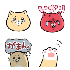 [LINE絵文字] 泣きむし猫のキィちゃん絵文字の画像