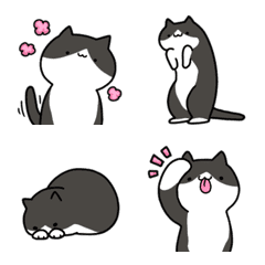 [LINE絵文字] 白黒ハチワレねこの画像