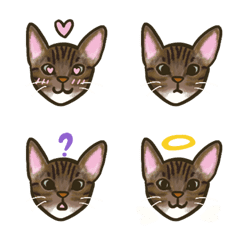 [LINE絵文字] adorable tabby catの画像