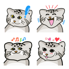 [LINE絵文字] Cute Manulcat Tibetian Catの画像