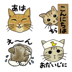 [LINE絵文字] あさぼうやのミャーミャー仲間の画像