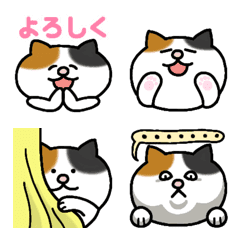 [LINE絵文字] 三毛猫っちの絵文字 ぽちょっと毎日使えるの画像