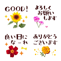 [LINE絵文字] 花写真の絵文字＊シンプル毎日使うゆる敬語の画像