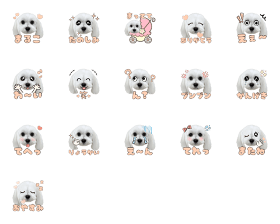 [LINE絵文字]マルチーズ♡まるこの絵文字の画像一覧