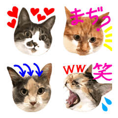 [LINE絵文字] Neneko's Various catsの画像