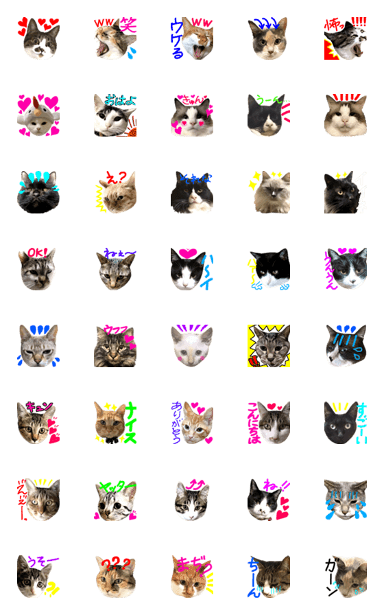 [LINE絵文字]Neneko's Various catsの画像一覧