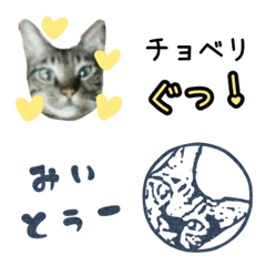 [LINE絵文字] トラ猫のダジャレとハンコの画像