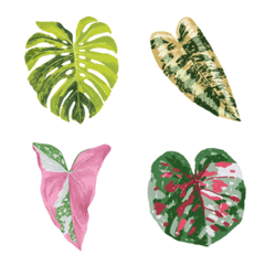 [LINE絵文字] Leaf loversの画像