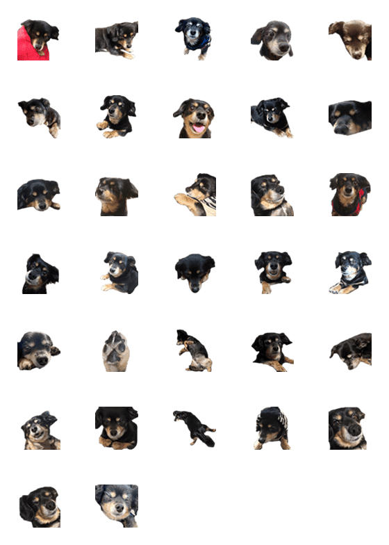 [LINE絵文字]dog.emojiの画像一覧
