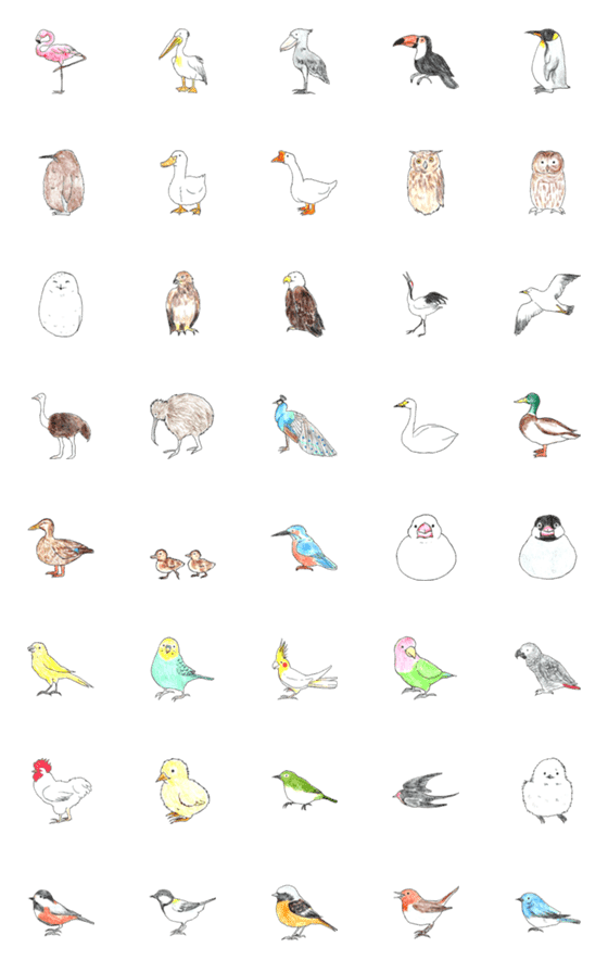[LINE絵文字]いろんな鳥さんの画像一覧