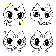ねこ姉妹ちーまるさん（文字なし）の絵文字メイン画像