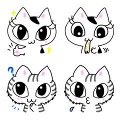 [LINE絵文字] ねこ姉妹ちーまるさん（文字なし）の画像