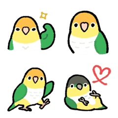 [LINE絵文字] ラクガキ動物園55-4【シロハラインコ3】の画像