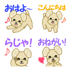 [LINE絵文字] トイプーちゃん絵文字（言葉付き）の画像