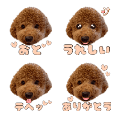 [LINE絵文字] トイプー おとの絵文字の画像