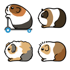 [LINE絵文字] Guinea Pig Balance Bikeの画像