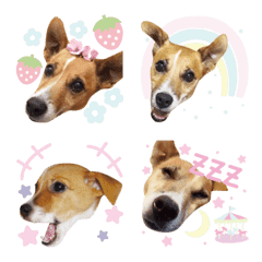 [LINE絵文字] さんた絵文字♡の画像