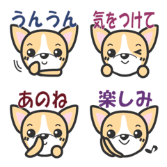 [LINE絵文字] かわいいチワワの画像