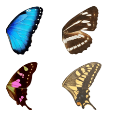 [LINE絵文字] 蝶の翅の画像