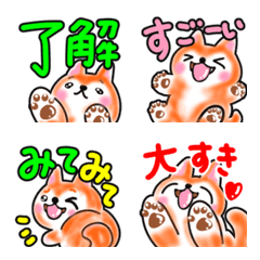 [LINE絵文字] 柴犬ともまる♡楽しい毎日55 でか文字の画像