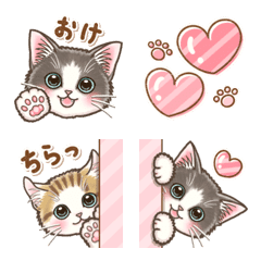 [LINE絵文字] やさしい猫の絵文字 〜文字付き〜の画像