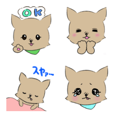 [LINE絵文字] チワワのナナちゃん 絵文字の画像