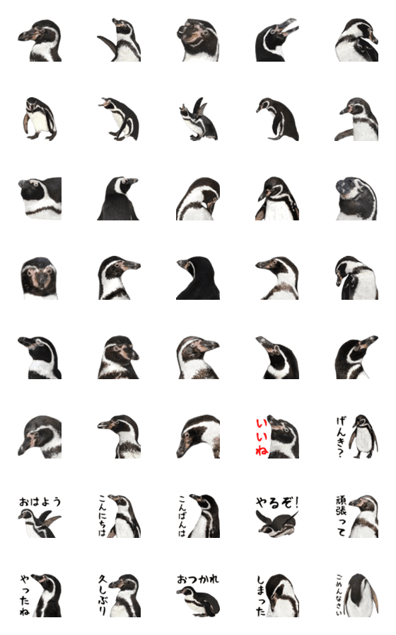 [LINE絵文字]ほほえみフレンズ ペンギンの絵文字の画像一覧
