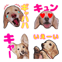 [LINE絵文字] lovelyDachshundの画像