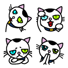 [LINE絵文字] キトンキャップのある白い子猫の絵文字の画像