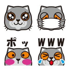 [LINE絵文字] 猫絵文字「ブリティッシュショートヘア」の画像