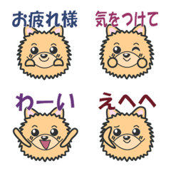 [LINE絵文字] かわいいポメラニアンの画像